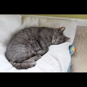 Meet your Posher, Kiana